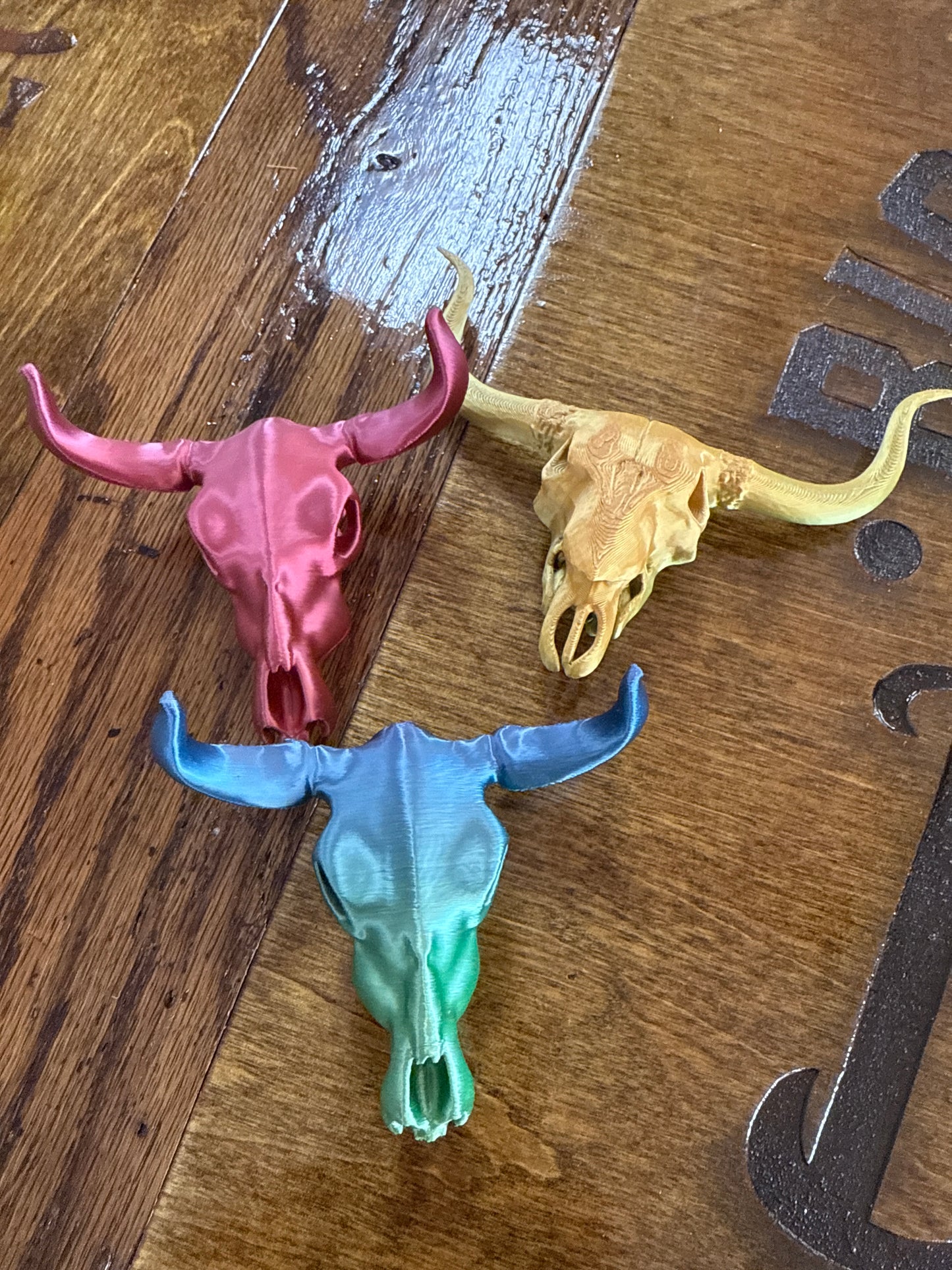3-D Skull