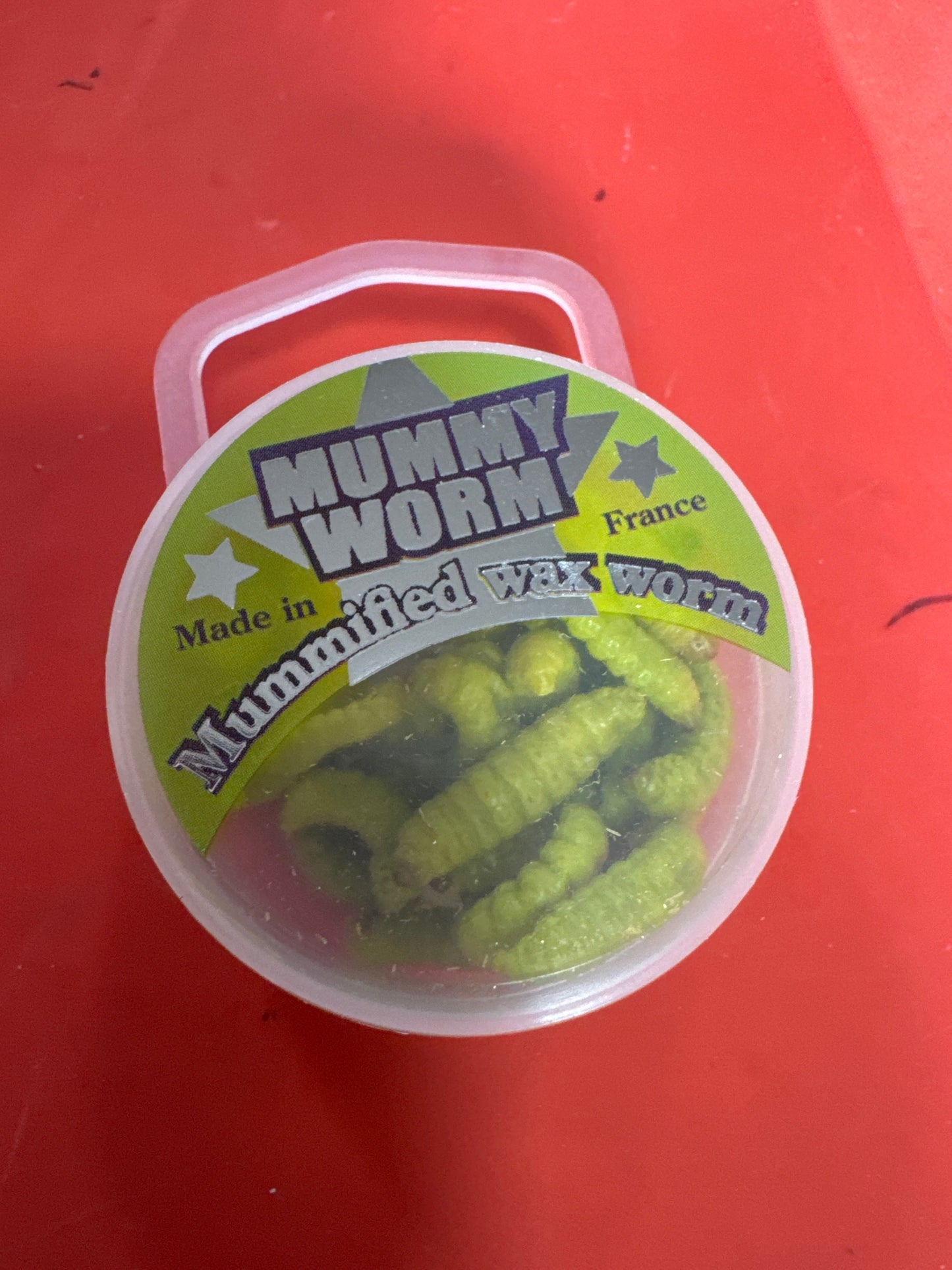 Mummy Worms