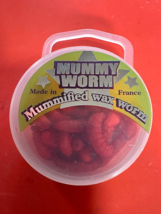 Mummy worms