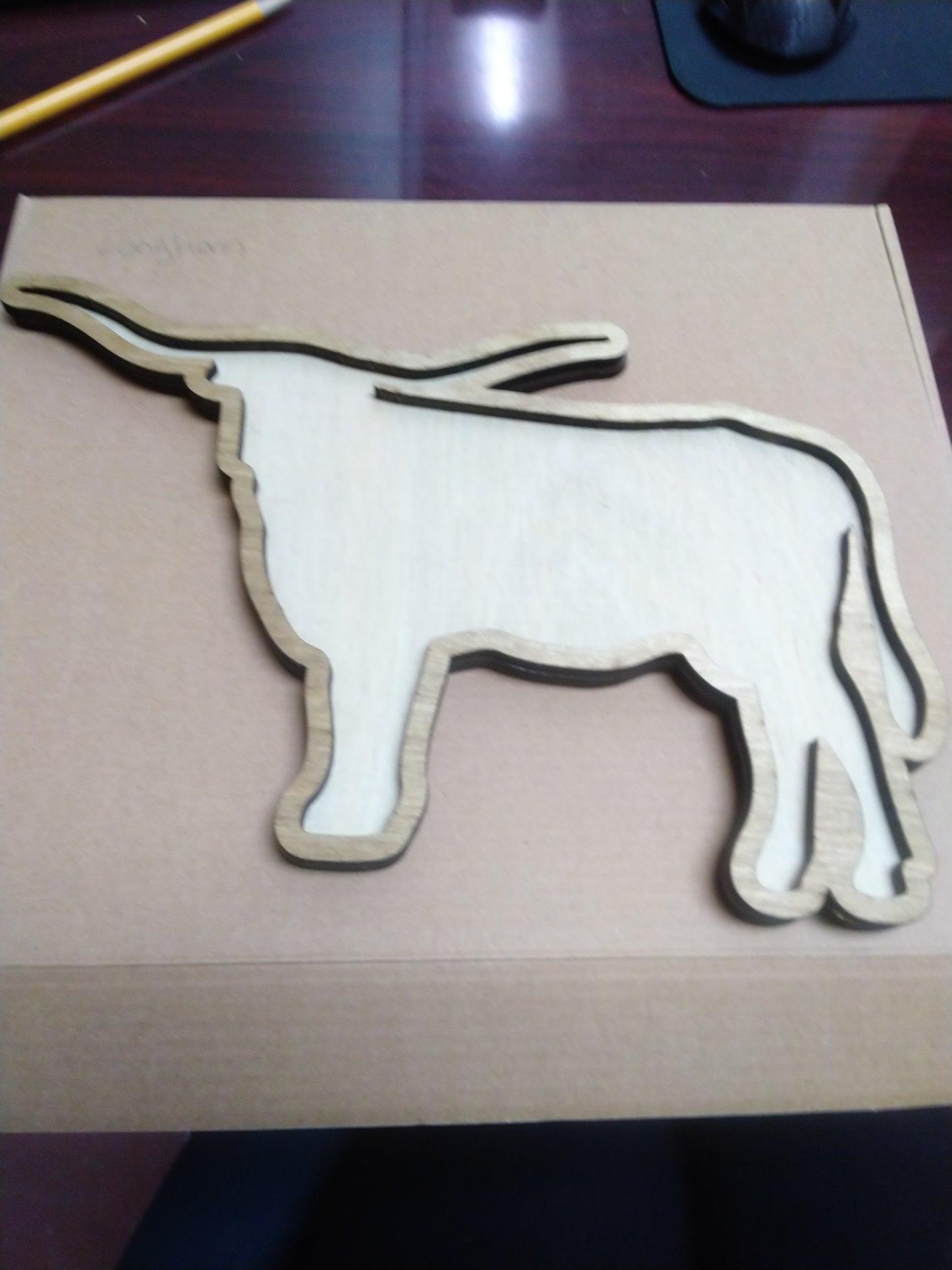 Laser Cut Puzzles