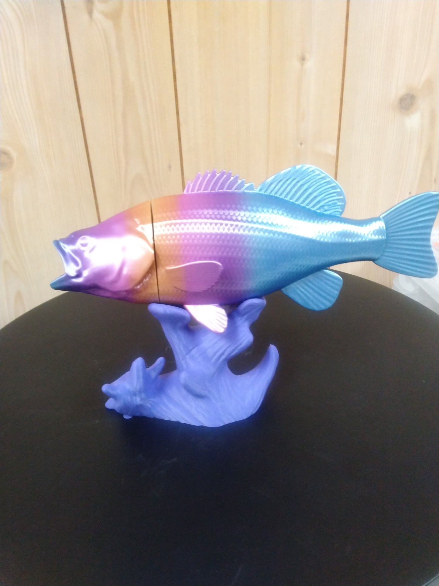 3d Printed Fish With Coral Stand