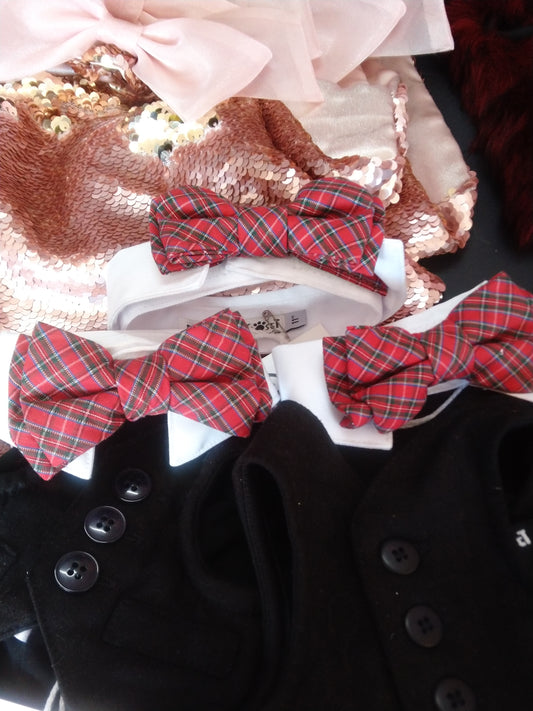 white shirt collar